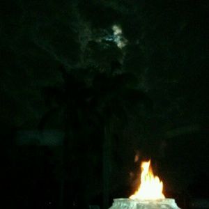 Meet your Posher, Annie